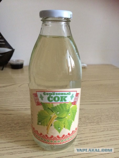 Сбор березового сока