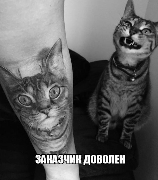 Забавности из интернетов