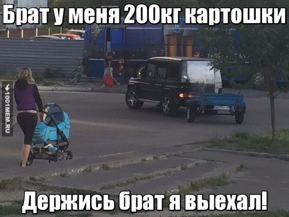 Ассорти картинок из сети