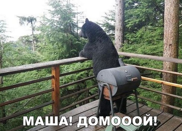 Мохнатые беспредельщики