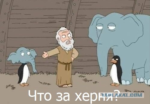 Братья и сестры от разных матерей.