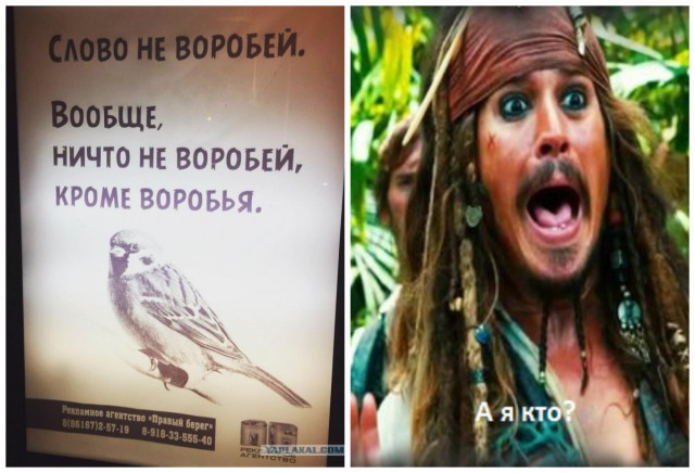 А ведь Капитан Очевидность не дремлет!