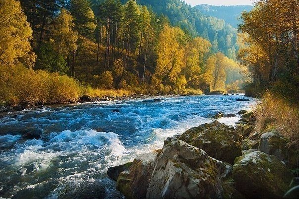 Картинки для отдыха глаз