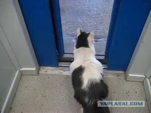 Как мы падали в лифте