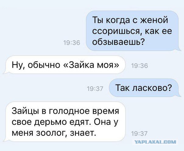 Небольшая подборка забавных картинок