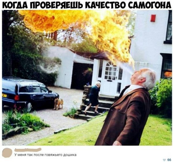 Деградации ЯПу от Креизи