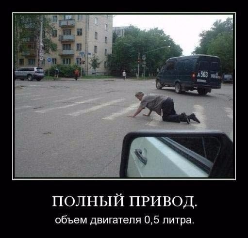 Подборка безудержного веселья