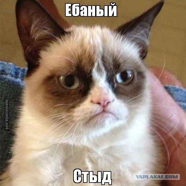 И ЭТО войдет в экспертный совет при Госдуме...