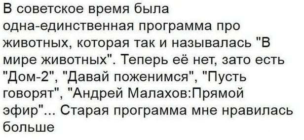 Смешные комментарии из социальных сетей 29.12.2017.