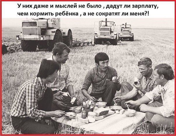 Европейские спутники посчитали российскую землю