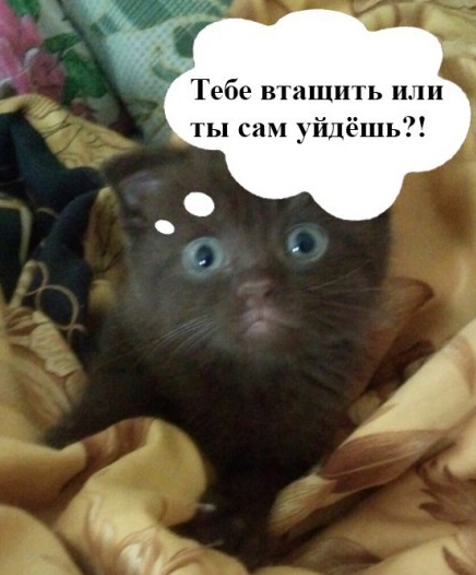 Что они делают, когда никто не видит? Обратная сторона жизни известных героев фильмов и мультфильмов