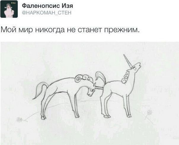 Смешные комментарии из социальных сетей 21.09.2018