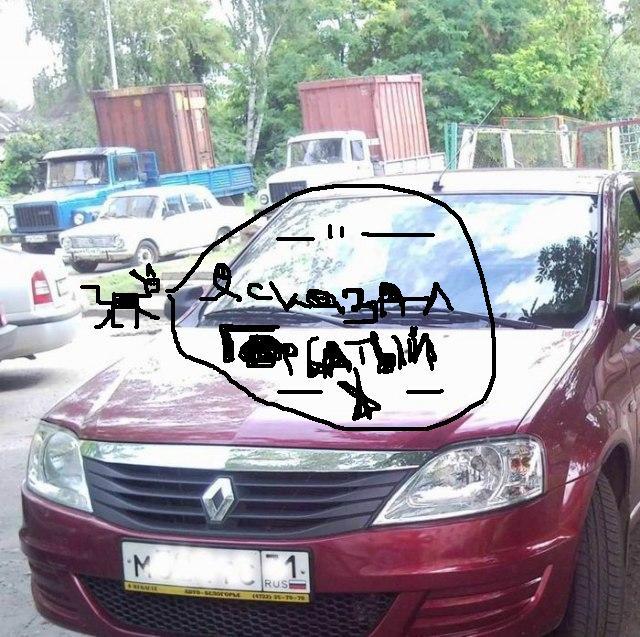 Найди кота на фотографии