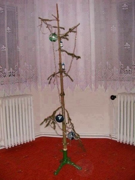 50 идейных ёлок