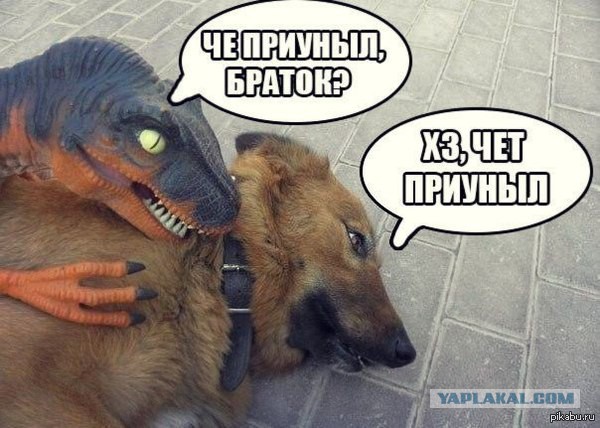 В китайском автобусе