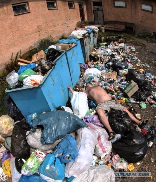 Скотсети и прочие интернеты 04.03.19