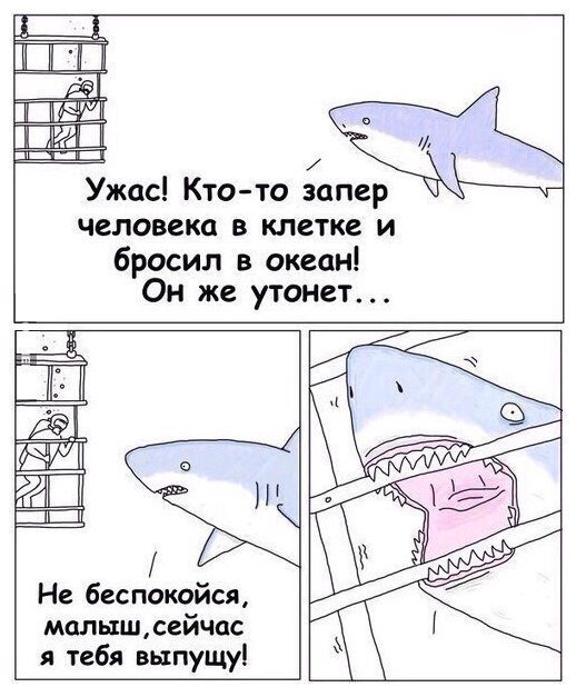 Чуть не стал обедом акулы...