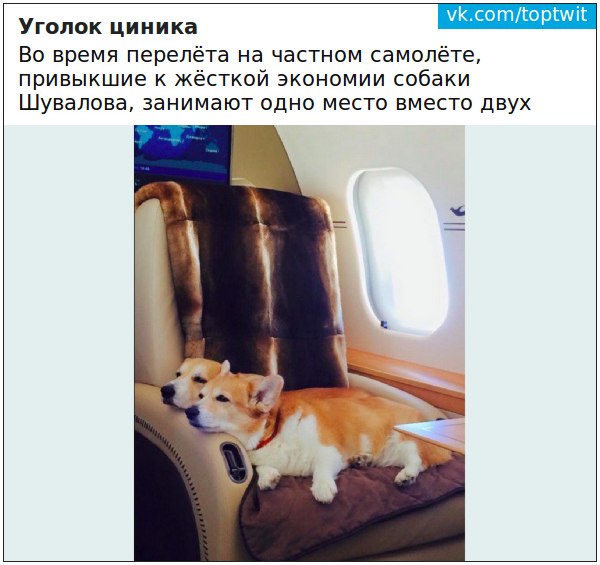 Сайт МГУ сообщил о зачислении на бюджет полной тёзки дочери Игоря Шувалова. Есть одно но...