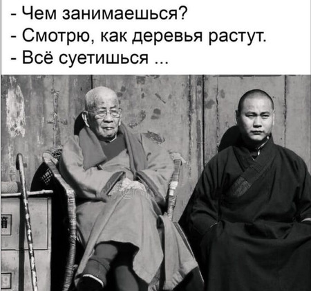 15023406.jpg