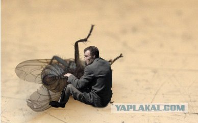 Фотожаба: Суровый уральский заяц