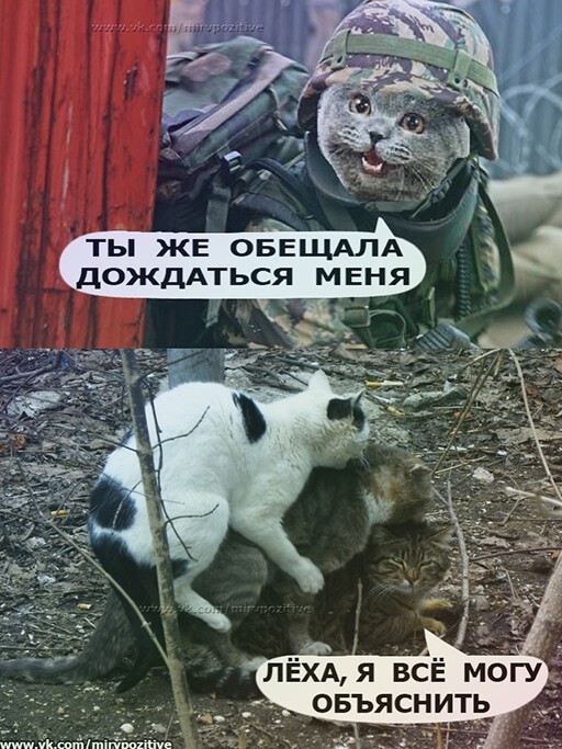 Алкопост 06.02.21