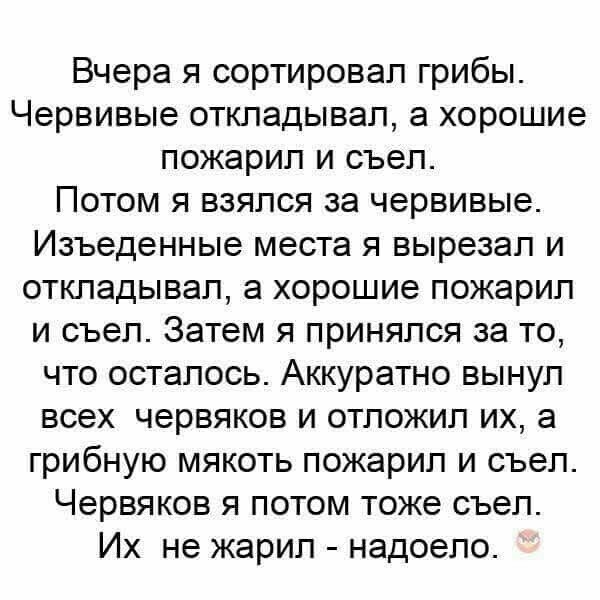 Почему грибы так популярны именно в России? Совсем не потому, что это "халява"