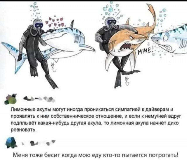 Так себе картинки 01.06.2021