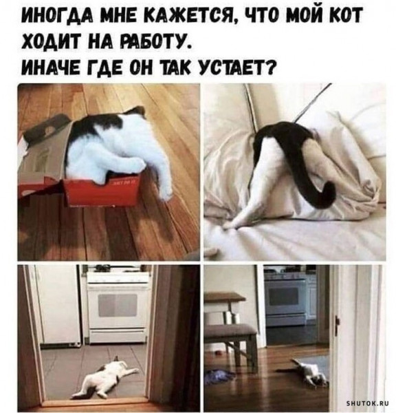 Весёлый полтишок 3.09