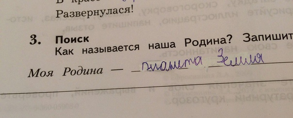 Всяческие картинки 08.11.2021
