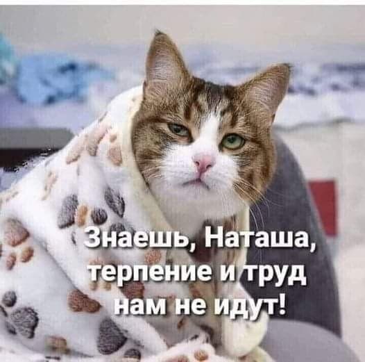 Всяческие картинки 15.12.2021