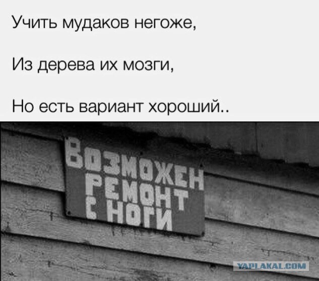 Не стал тратить патроны