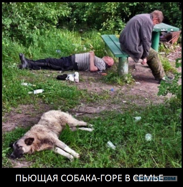 Чудики из социальных сетей 06.02.22