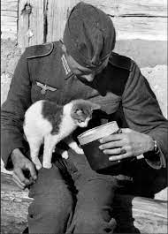 Станица Луганская