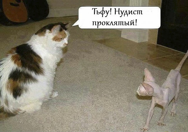 Немного картинок и прочей хреноты Vol. 10