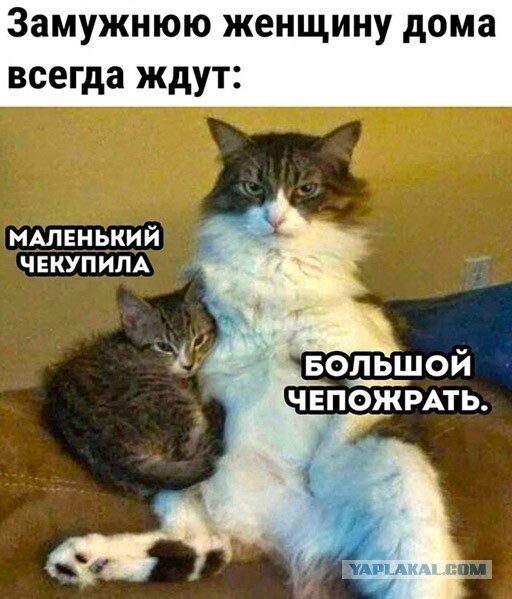 Так себе картинки 17.05.22