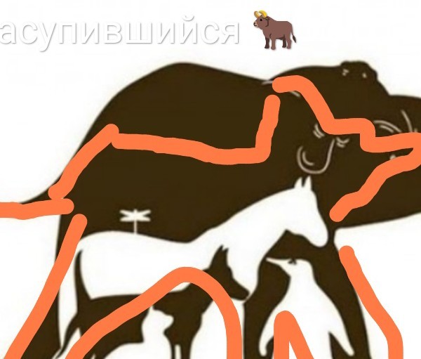 Картинки 20.05.22.
