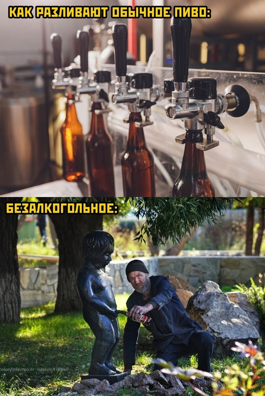 Весёлый полтишок 10.06.22