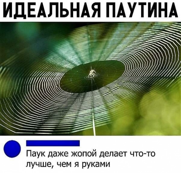 Пятница. Вечер. Картинки всякие #8