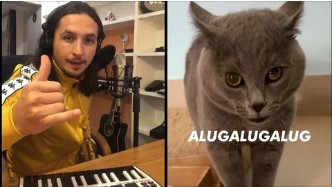 Жрец котов, просим жертву