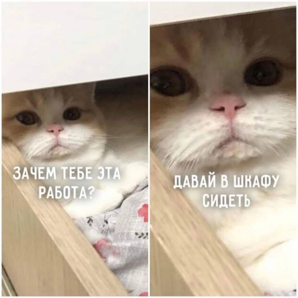Немного картинок для настроения - 105