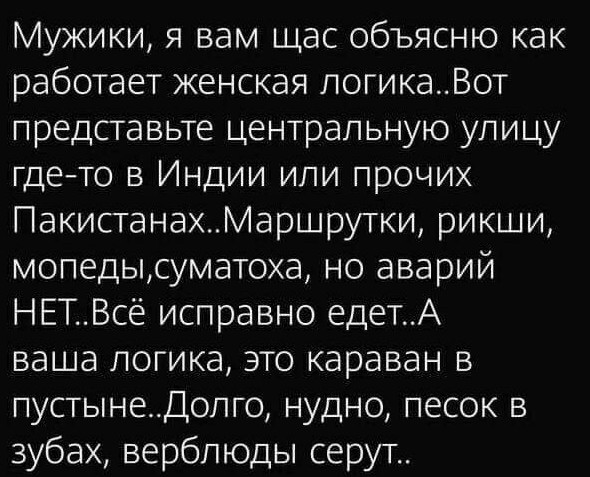 Весёлый полтишок 24.11.22