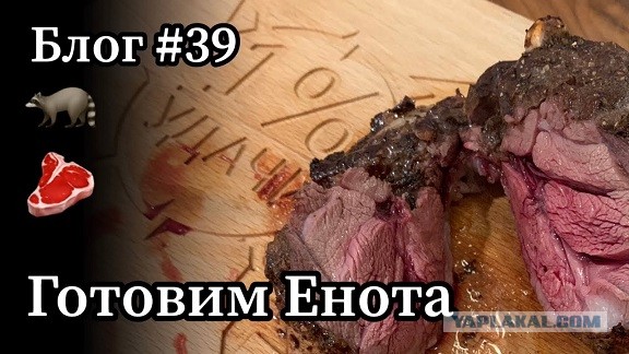 Не все еноты мимишные