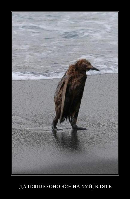 Кипр прислушался.. и  поступил "профессионально"