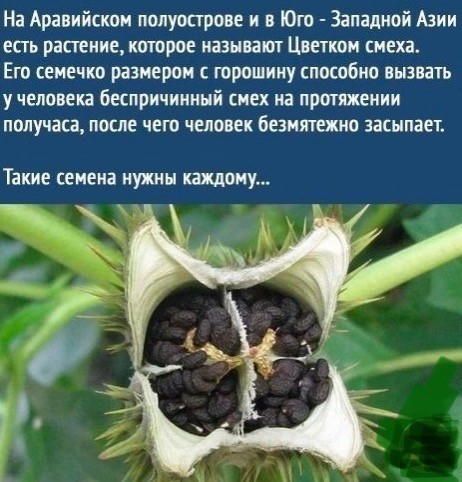 Картинки и мемы, всяко разно - 183