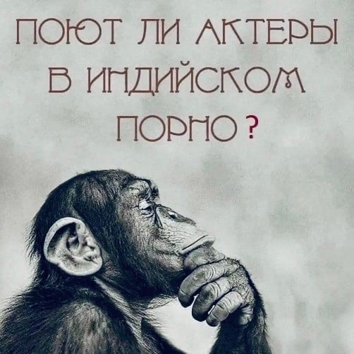 40 пятничных картинок 26.05.2023