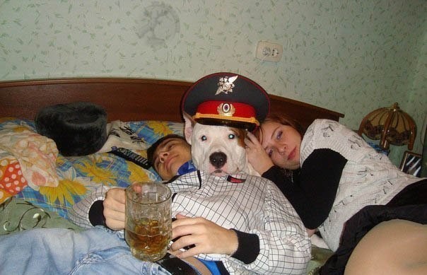 Показалось...
