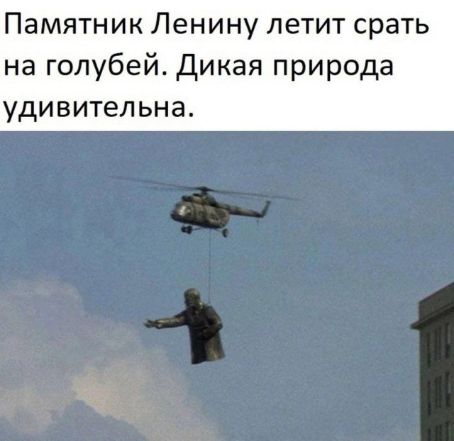 Народная меДИЧина 2004