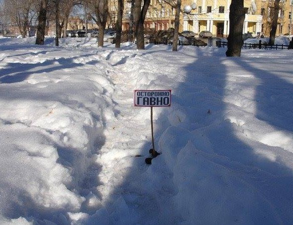 Про животноводов-засранцев