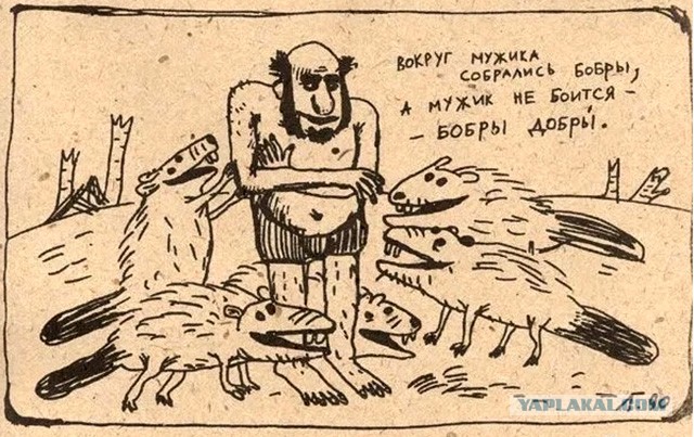 Встретил бобра
