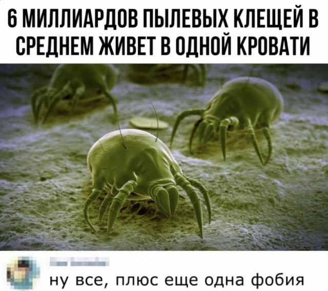 Весёлый полтишок 10.07.24